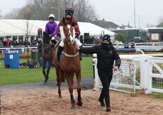 Wigley Group Hampton Novices' Chase.