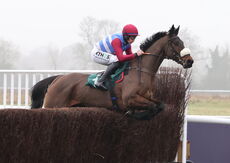 Wigley Group Hampton Novices' Chase.