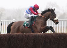 Wigley Group Hampton Novices' Chase.