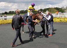 The Coronation Handicap Hurdle