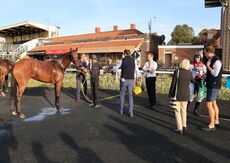 Poundland Mares' Open NH Flat Race.