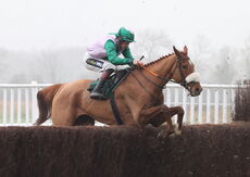 Any News (Sam Twiston-Davies)