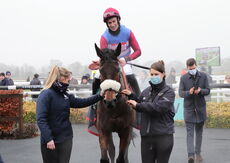Wigley Group Hampton Novices' Chase.
