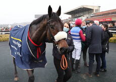 Wigley Group Hampton Novices' Chase.