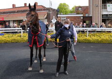 The Coronation Handicap Hurdle