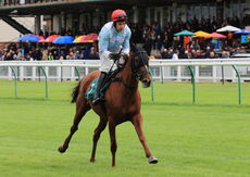 Warwick 30 September 2021