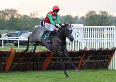 Irish Hill (Tom Buckley)