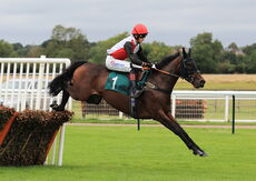 Pertemps Network Mares' Novices' Hurdle