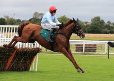 Pertemps Network Mares' Novices' Hurdle