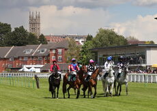 The runners at the start of the 3m1f Handicap Chase