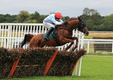 Pertemps Network Mares' Novices' Hurdle
