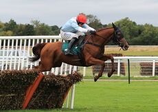 Whispering Gypsy (Harry Skelton)