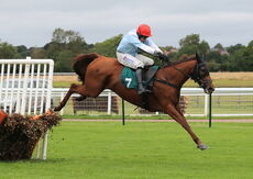 Whispering Gypsy (Harry Skelton)