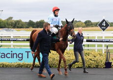 Pertemps Network Mares' Novices' Hurdle