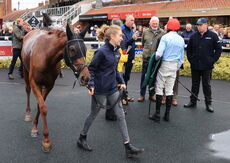 Pertemps Network Mares' Novices' Hurdle