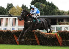 Royal Pretender (Tom Cannon)