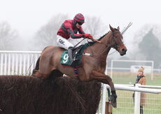 Eclair Surf (Tom Bellamy)