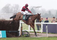 Eclair Surf (Tom Bellamy)