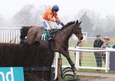 Gericault Roque (Tom Scudamore)