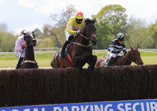 Wigley Group Carnival Handicap Chase.