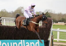 Wigley Group Carnival Handicap Chase.