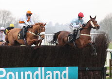 Wigley Group Carnival Handicap Chase.