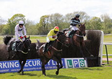 Wigley Group Carnival Handicap Chase.