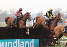 Agetur UK Maiden Hurdle