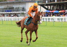 Barry Smith Memorial Novices' H'cap Chase