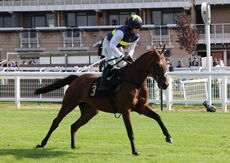Wigley Group Carnival Handicap Chase.