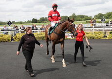 Logicor Crudwell Cup Hunters Chase