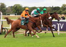 Barry Smith Memorial Novices' H'cap Chase