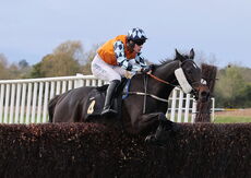 Elizabeth Davenport Crudwell Cup Hunters Chase