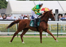 Racing TV William Eborall Maiden Hurdle