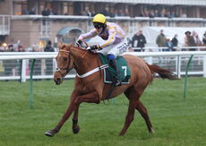 Luccia (Ben Ffrench Davis)