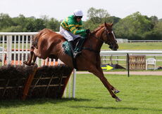 Quid Pro Quo (Harry Skelton)