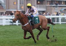 Luccia (Ben Ffrench Davis)