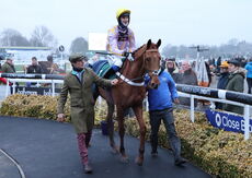 Racing TV 'Newcomers' NH Flat Race.