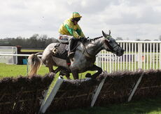 Racing TV 'Newcomers' NH Flat Race.