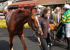 Racing TV William Eborall Maiden Hurdle