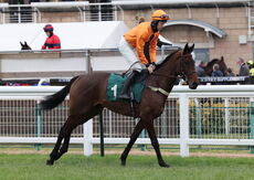 Racing TV Juvenile Hurdle