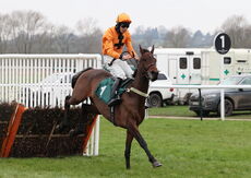 Saint Segal (Chester Williams)