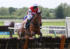 Coronation Handicap Hurdle