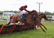 Warwickshire Handicap Hurdle
