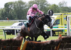 Coronation Handicap Hurdle