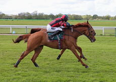 Warwickshire Handicap Hurdle