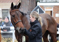 Racing TV Juvenile Hurdle