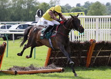 Sorbet (Tom Bellamy)
