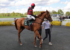 Warwickshire Handicap Hurdle