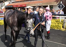Coronation Handicap Hurdle